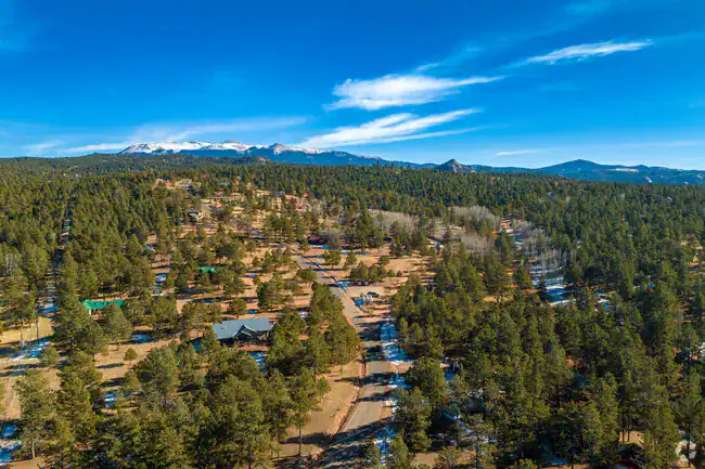 Pine forest and mountains near Florissant, Colorado